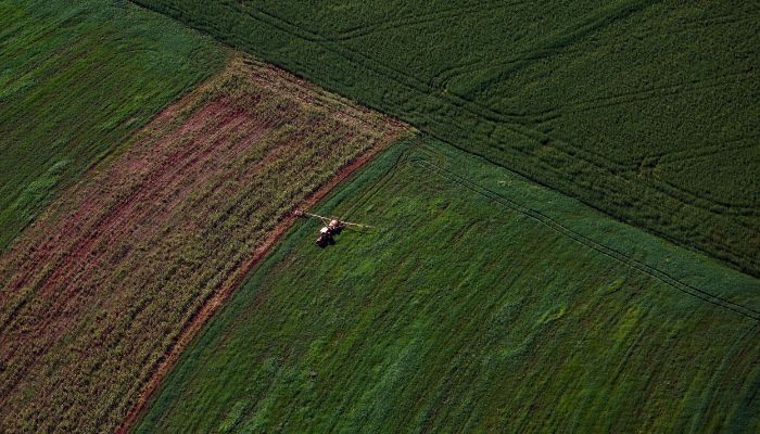 VBP Agropecuário do Paraná cresce 13% e alcança R$ 212,6 bilhões em 2025